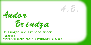 andor brindza business card